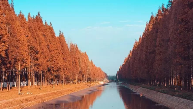 大江大河》口碑炸裂 年代剧取景地也非常美