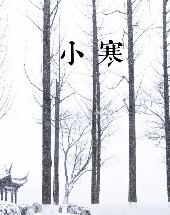 今日小寒 | 一个有着强大肾气储备的时节