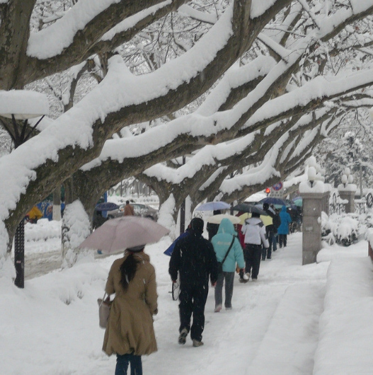 快讯：暴雪蓝色预警持续 河南湖北等地局地暴雪