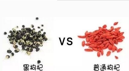 黑枸杞和红枸杞明目补血哪个好