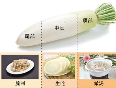 秋季萝卜赛人参 教你从头到尾吃萝卜营养不浪费
