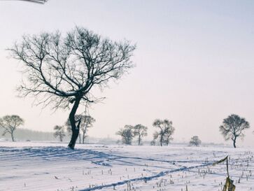 去吉林和萨满人一起聊天滑雪撒点儿野
