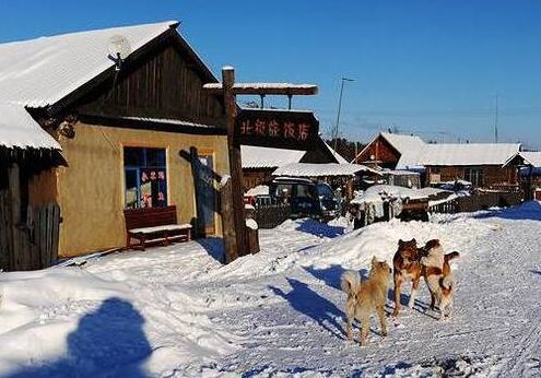 冬天里的一把火 漠河旅游全攻略