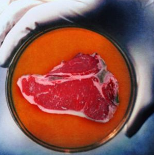 预售植物肉股价涨停 “人造肉”走红