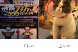 范冰冰贴“绝育宣传照”发文：蛋蛋的忧伤