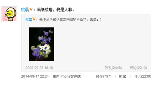 姚晨疑回应出轨传闻：满纸荒唐物是人非