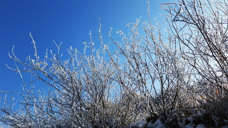 银装素裹 原驰蜡象 - 七道阳光 - ３８℃就沸腾